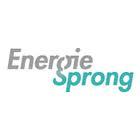 Innovatieprogramma Energiesprong